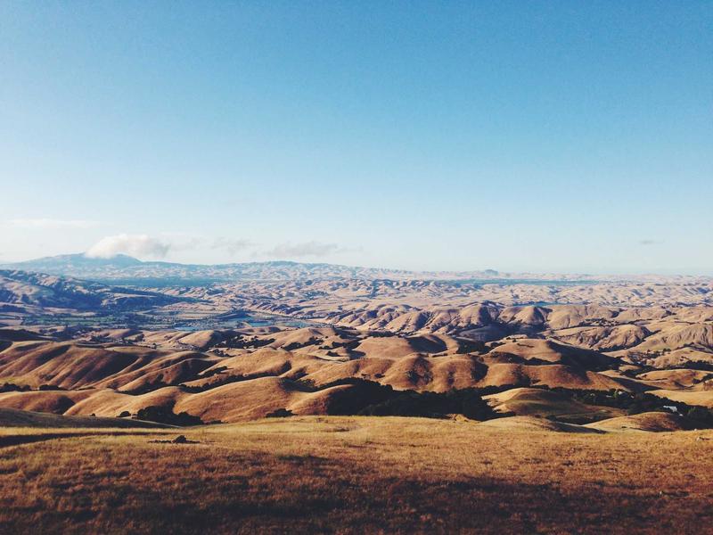 From zero to Top-notch a Science success story